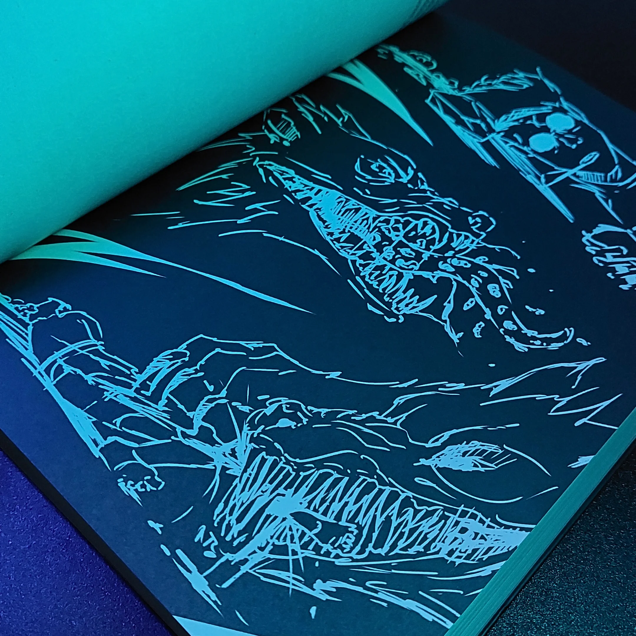 Interior do livro O Diário de Hass - Foto 3